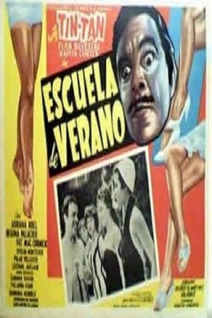 Escuela de verano poszter
