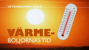 Vetenskapens värld 51. évad Ep.7 7. epizód