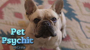 The Pet Psychic 1. évad Ep.6 6. epizód