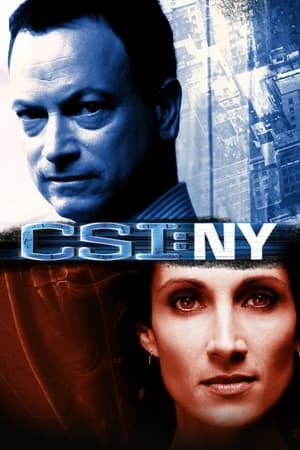 CSI: New York-i helyszínelők poszter