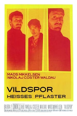 Vildspor poszter