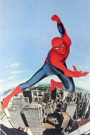 The Amazing Spider-Man poszter