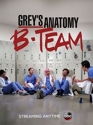 Grey's Anatomy: B-Team poszter