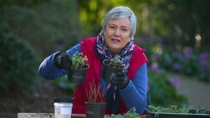 Gardening Australia Season 30 Ep.32 32. epizód