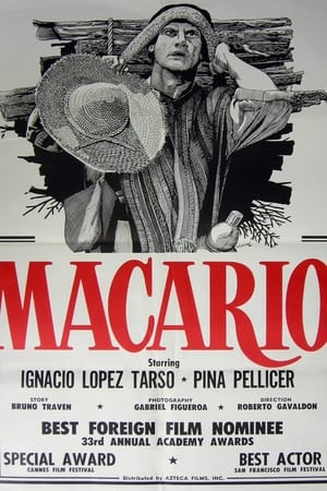 Macario poszter