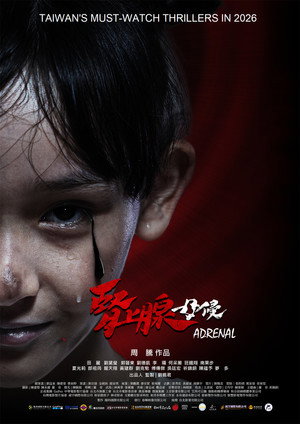 腎上腺 母侵 poszter