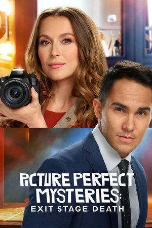 Picture Perfect Mysteries: Exit Stage Death poszter