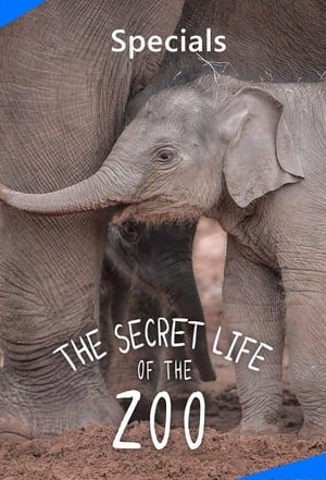 The Secret Life of the Zoo