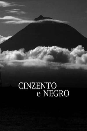 Cinzento e Negro poszter