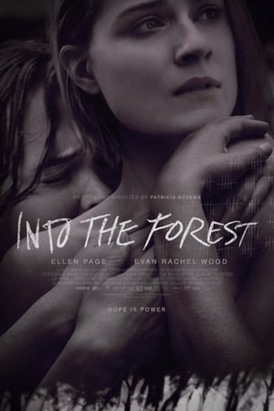 Into the Forest poszter