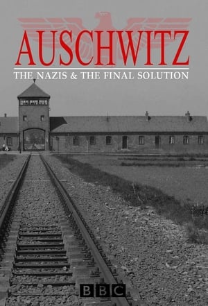 Auschwitz: A nácik végső megoldása poszter