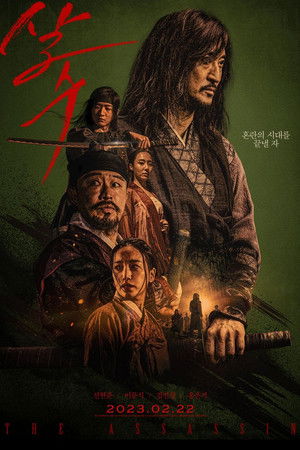 살수 poszter
