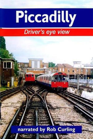 Piccadilly Driver's Eye View poszter