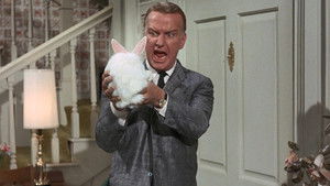 Gidget Season 1 Ep.23 23. epizód