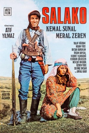 Salako poszter