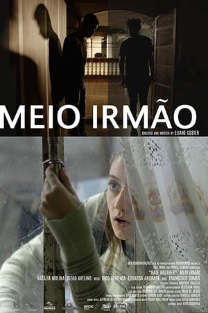 Meio Irmão poszter