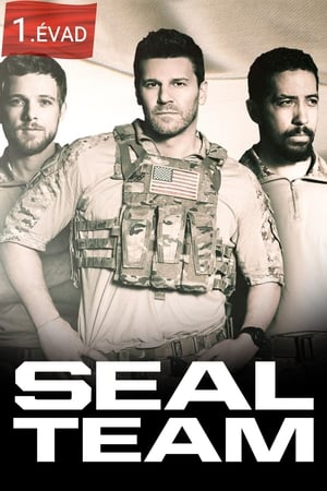 SEAL Team