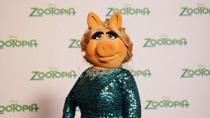 The Muppets Season 1 Ep.12 12. epizód
