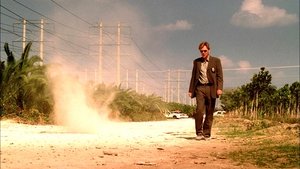 CSI: A helyszínelők 2. évad Ep.22 Hatáskör