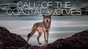 Call Of The Coastal Wolves háttérkép