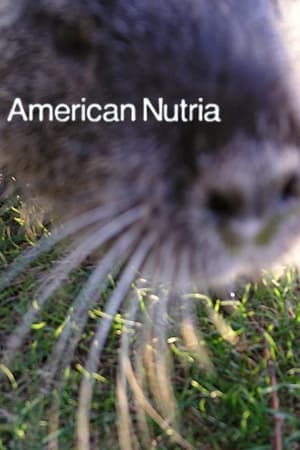 American Nutria