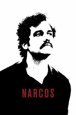 Narcos poszter