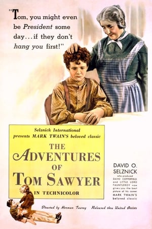 Tom Sawyer kalandjai poszter