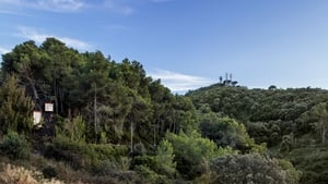 Valldaura: A Quarantine Cabin háttérkép