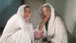 The Guru háttérkép