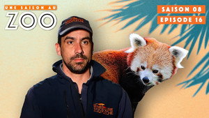 Une saison au zoo Season 8 Ep.16 16. epizód