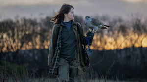 H Is for Hawk háttérkép