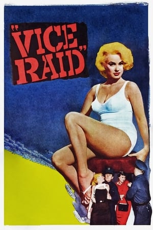 Vice Raid poszter