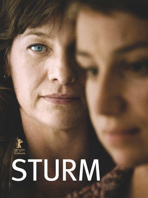 Storm poszter