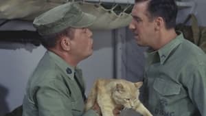 Gomer Pyle, U.S.M.C. Season 2 Ep.7 7. epizód