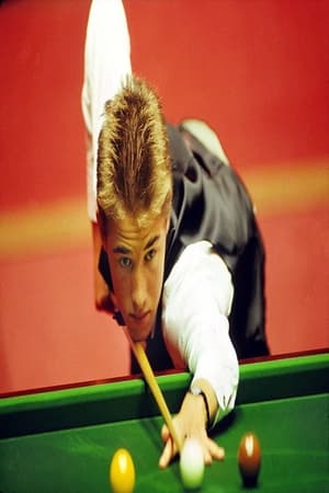 Stephen Hendry: Doing the Business poszter