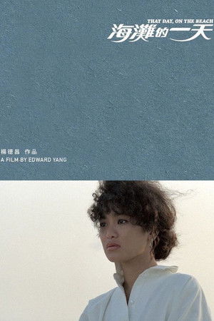 海灘的一天 poszter