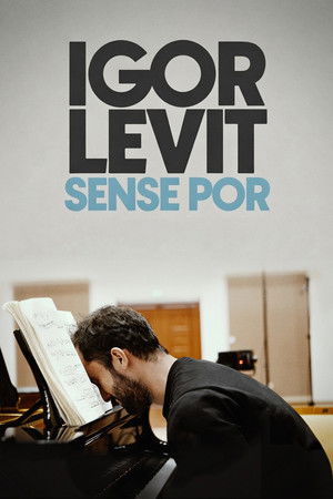 Igor Levit: No Fear poszter