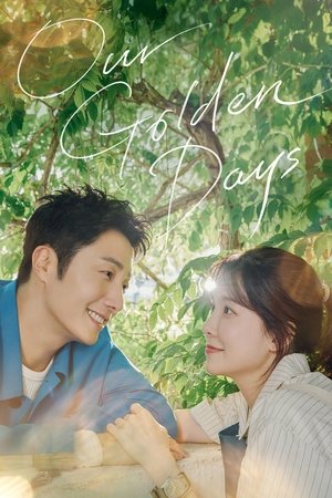 화려한 날들 poszter