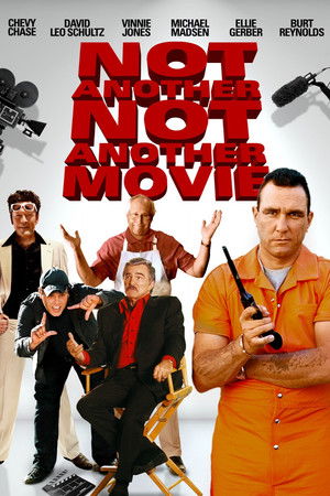 Not Another Not Another Movie poszter