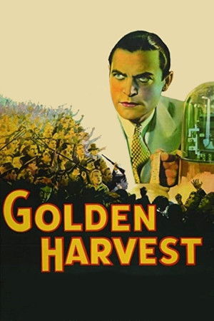 Golden Harvest poszter