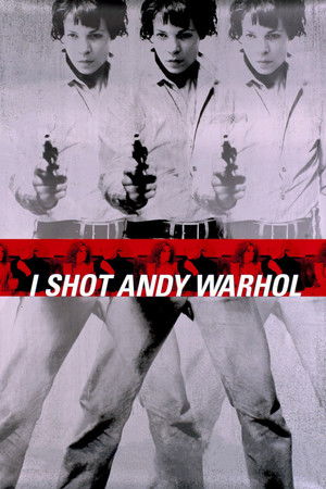 Én lőttem le Andy Warholt poszter