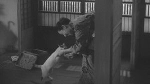猫と庄造と二人のをんな háttérkép
