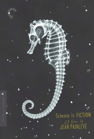 L'Hippocampe, ou 'Cheval marin' poszter