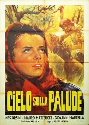 Cielo sulla palude