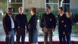 NCIS: Tengerészeti helyszínelők 13. évad Ep.4 A baj nem jár egyedül