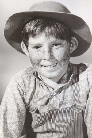 Stephen Wootton