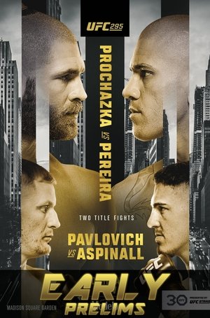 UFC 295: Prochazka vs. Pereira poszter