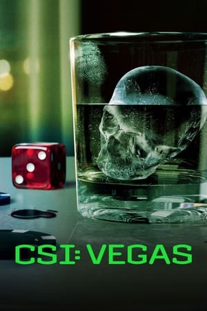 CSI: Las Vegas-i helyszínelők