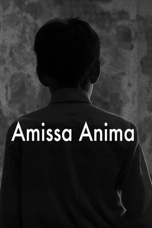 Amissa Anima poszter