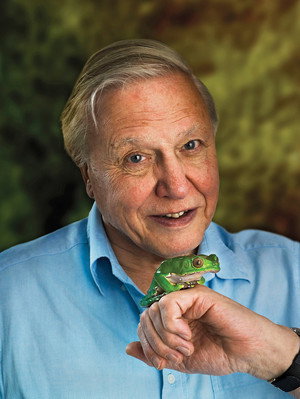 90 év David Attenborough-val poszter